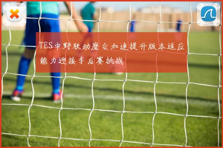 TES中野联动磨合加速提升版本适应能力迎接季后赛挑战
