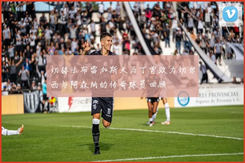 切赫法布雷加斯大马丁曾效力切尔西与阿森纳的传奇球员回顾