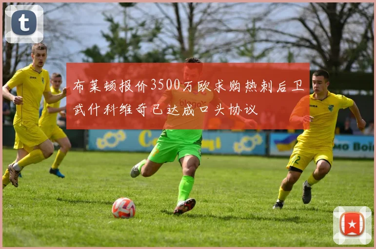 布莱顿报价3500万欧求购热刺后卫武什科维奇已达成口头协议