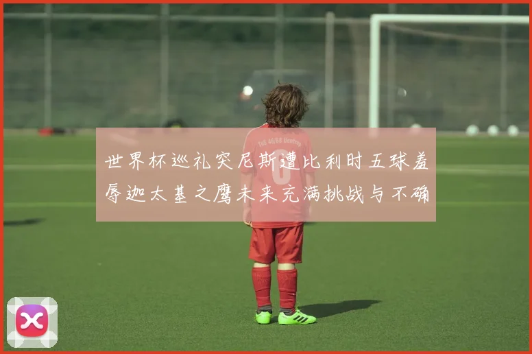 世界杯巡礼突尼斯遭比利时五球羞辱迦太基之鹰未来充满挑战与不确定性